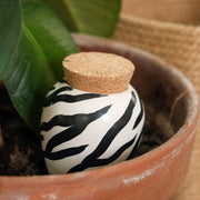 Olla Zebra