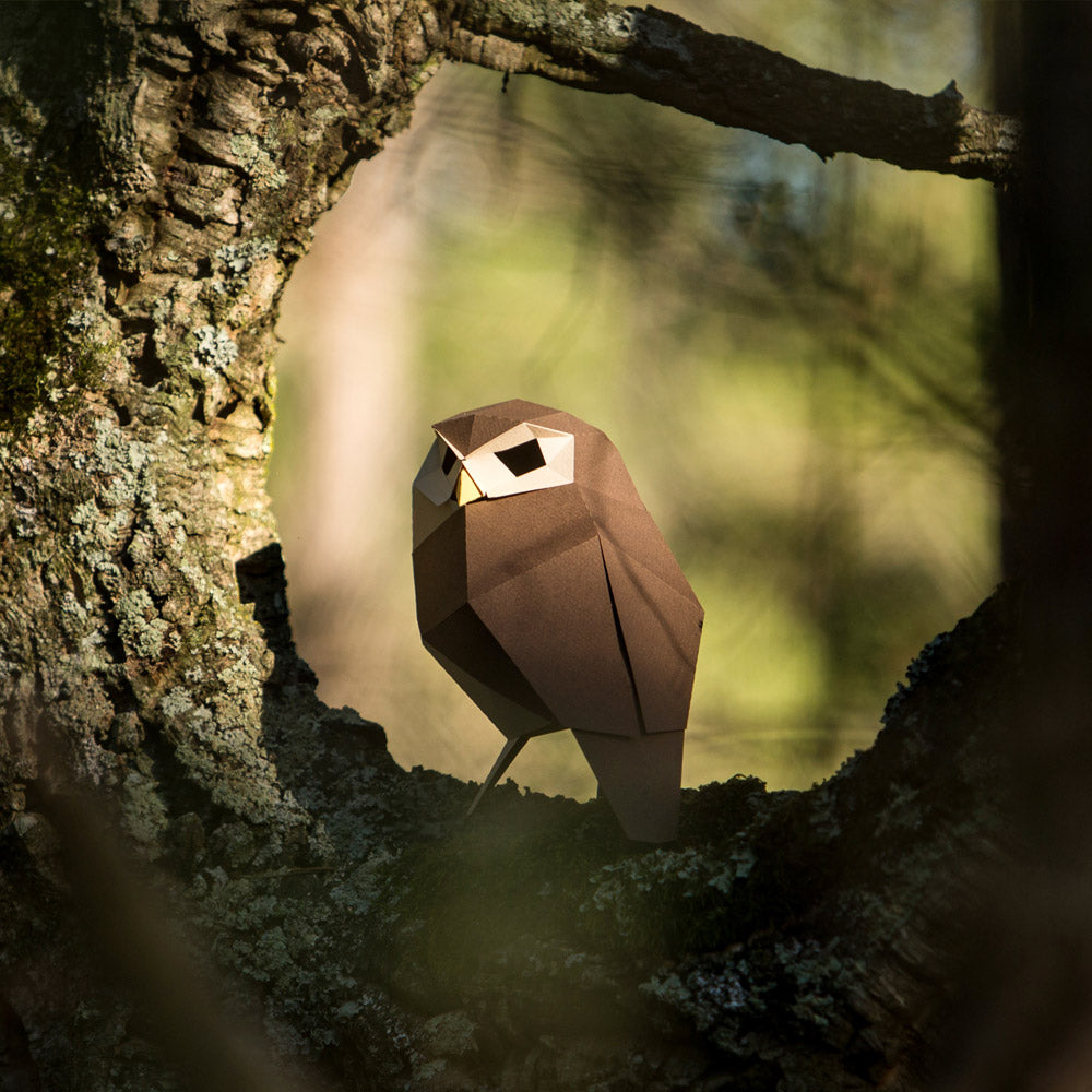 Athene Noctua Paper Figure Kit Plego Paper