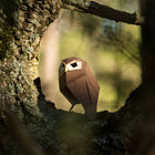 Athene Noctua Paper Figure Kit Plego Paper