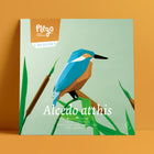 Alcedo Atthis Paper Figure Kit Plego Paper