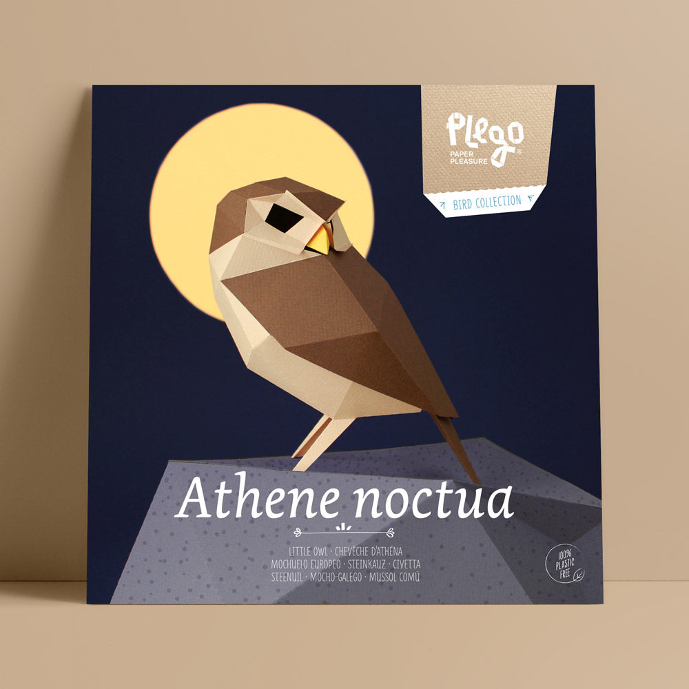 Athene Noctua Paper Figure Kit Plego Paper