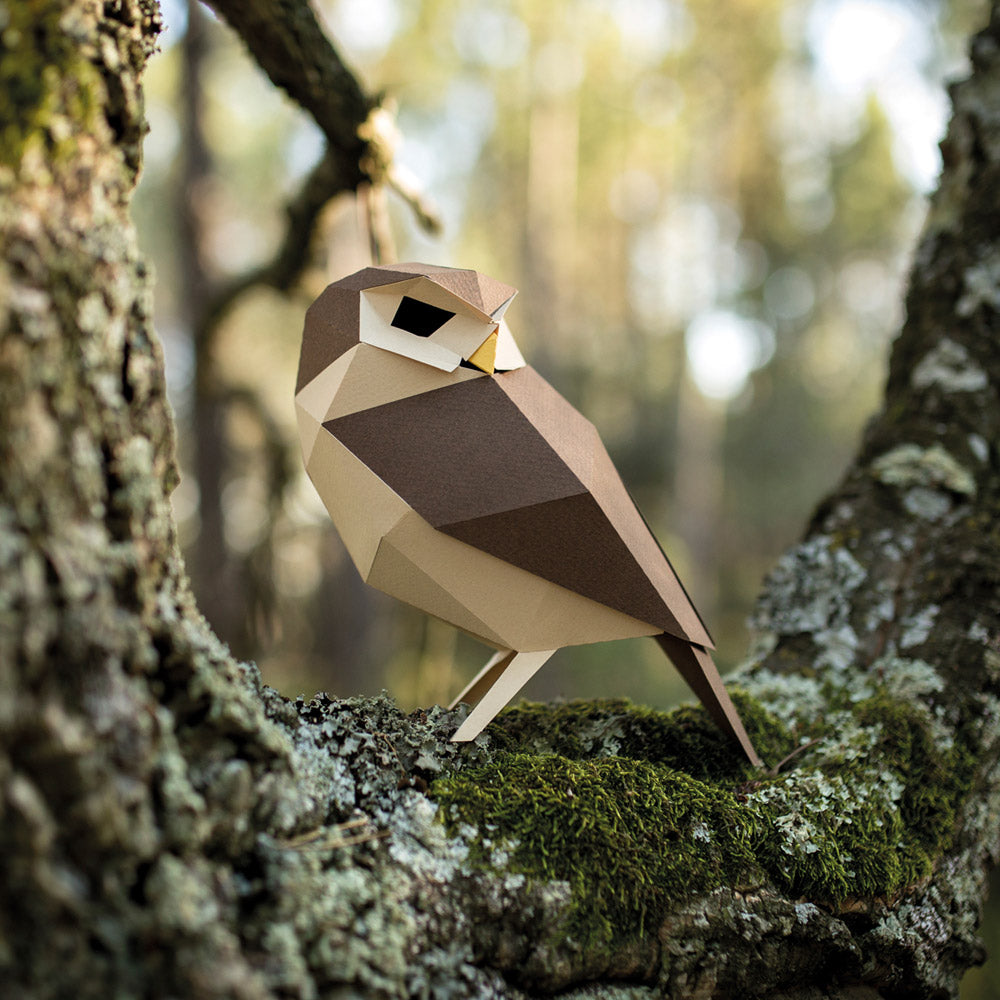 Athene Noctua Paper Figure Kit Plego Paper
