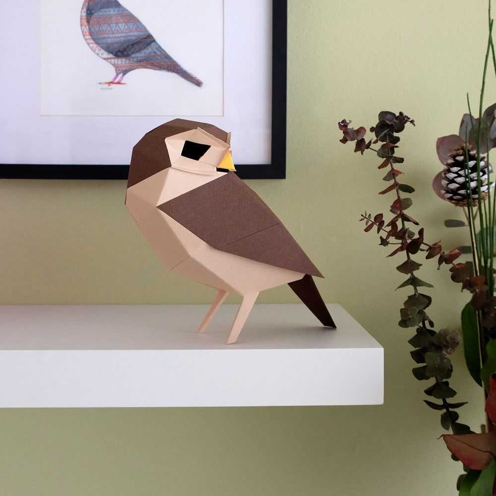 Athene Noctua Paper Figure Kit Plego Paper