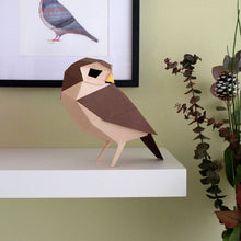Athene Noctua Paper Figure Kit Plego Paper