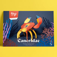 Cancridae Paper Figure Kit Plego Paper