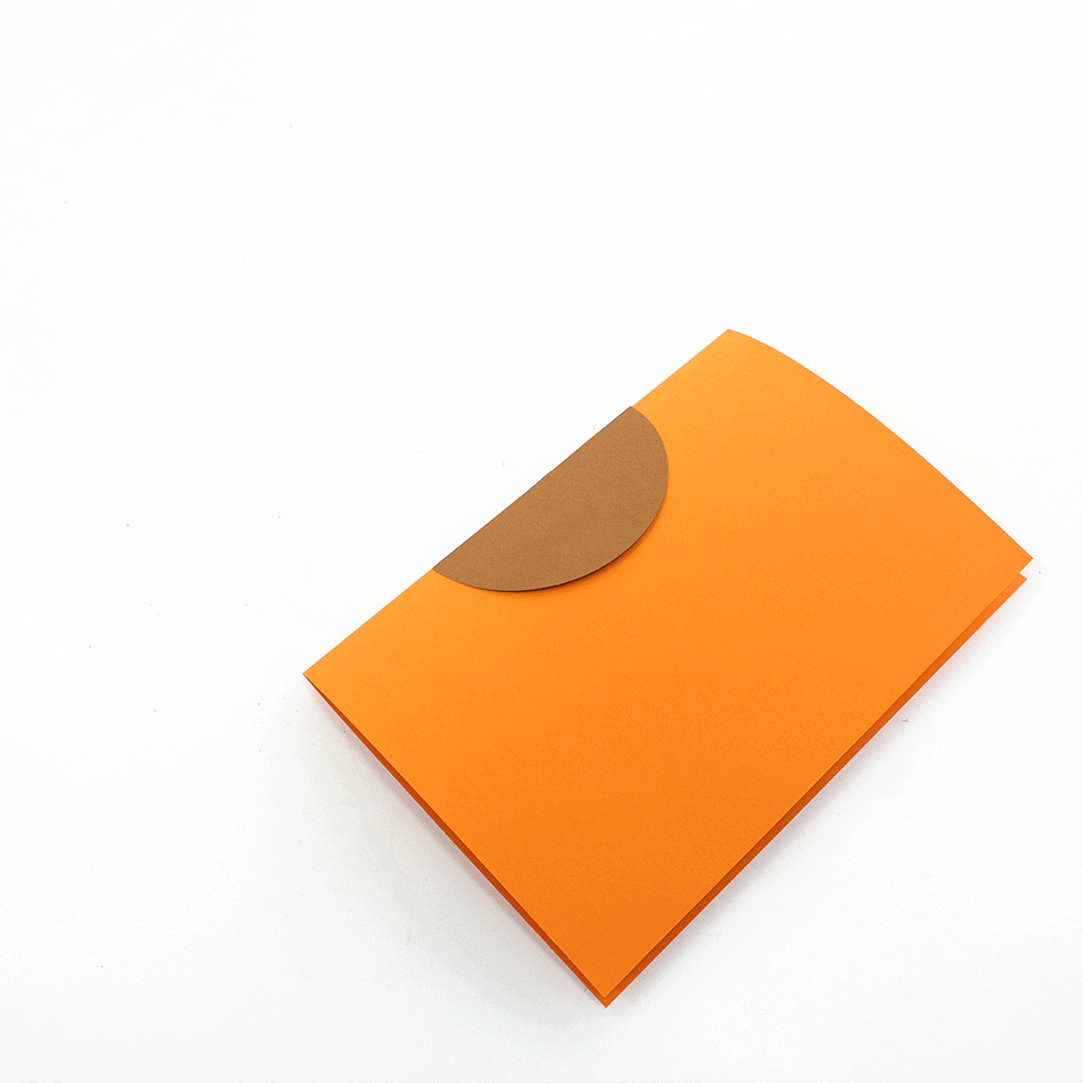 Helianthus Annuus Paper Figure Kit Plego Paper