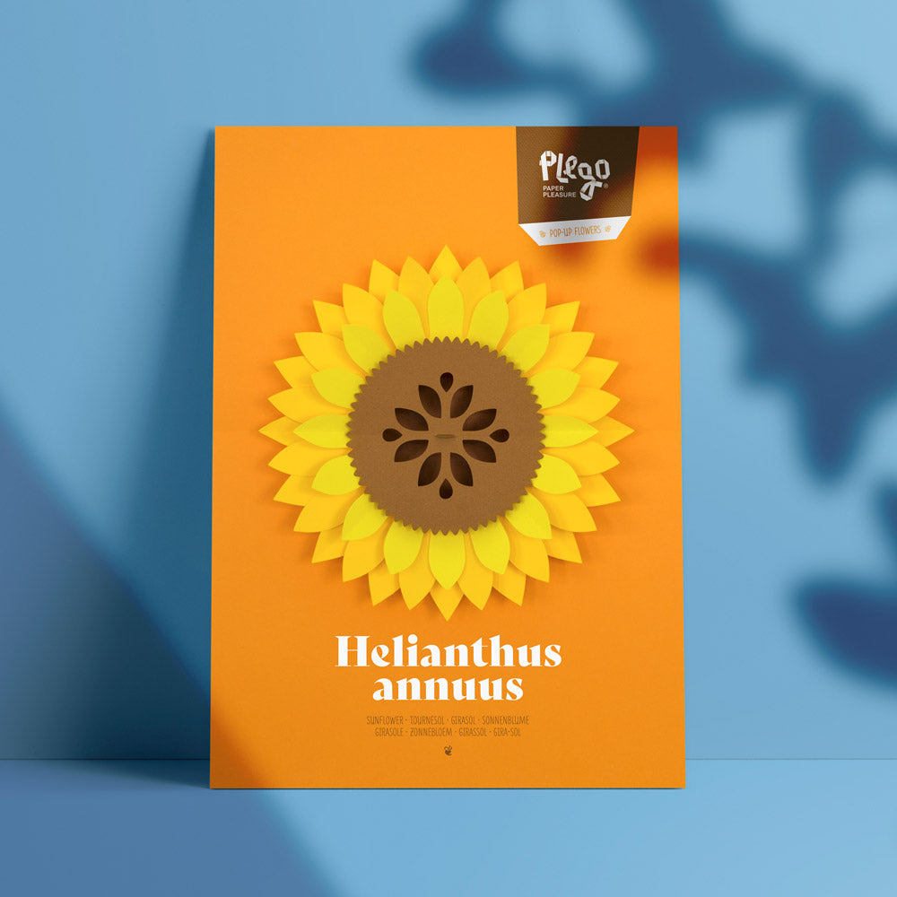 Helianthus Annuus Paper Figure Kit Plego Paper