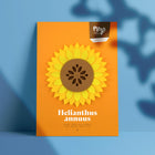 Helianthus Annuus Paper Figure Kit Plego Paper