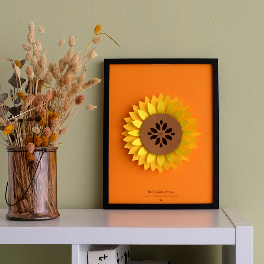 Helianthus Annuus Paper Figure Kit Plego Paper