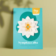 Nymphaea Alba Paper Figure Kit Plego Paper