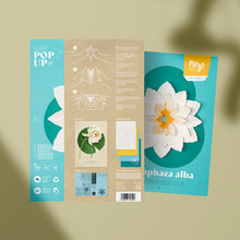 Nymphaea Alba Paper Figure Kit Plego Paper