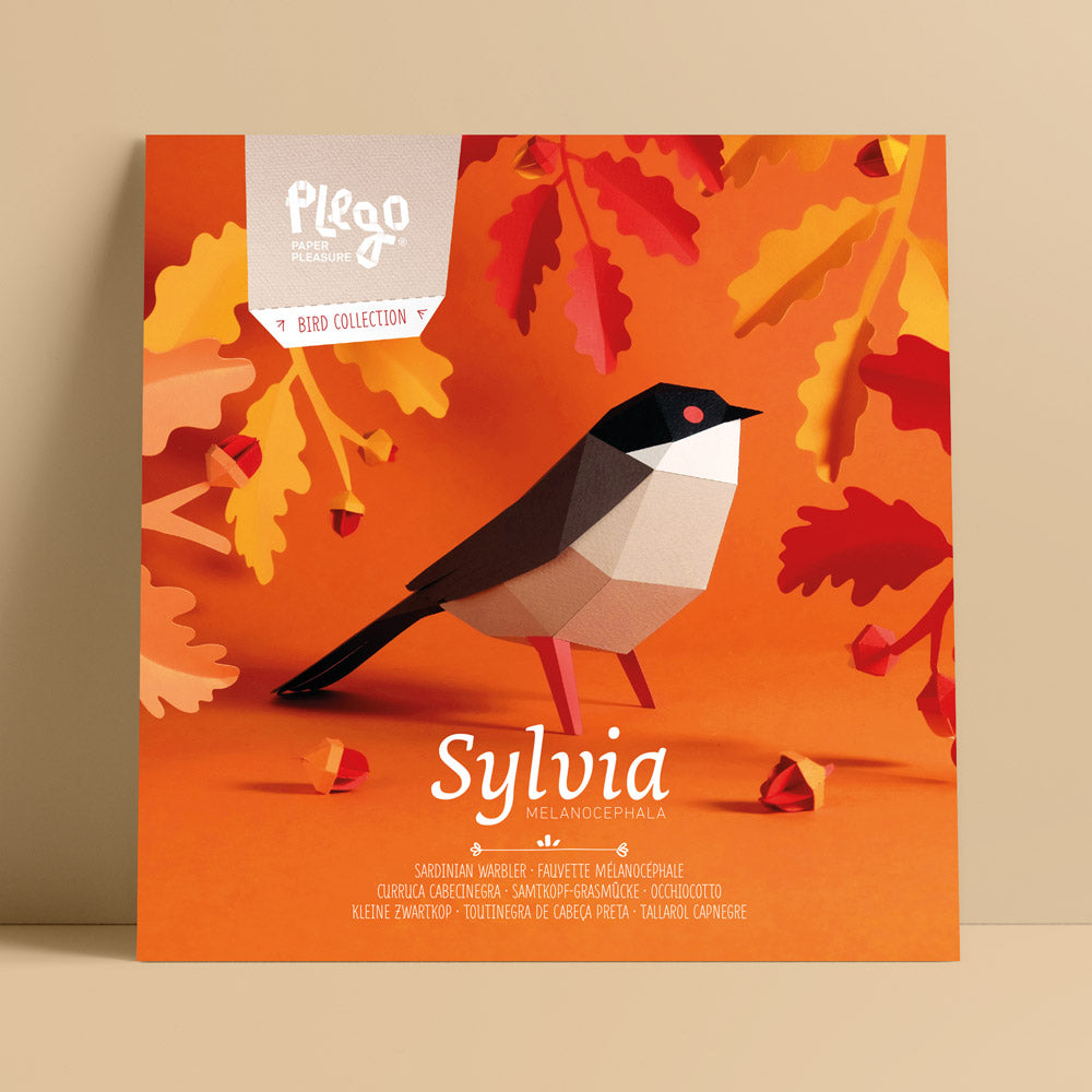 Sylvia Paper Figure Kit