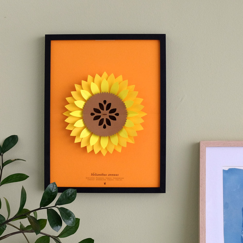Helianthus Annuus Paper Figure Kit Plego Paper