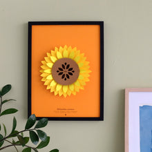 Helianthus Annuus Paper Figure Kit Plego Paper