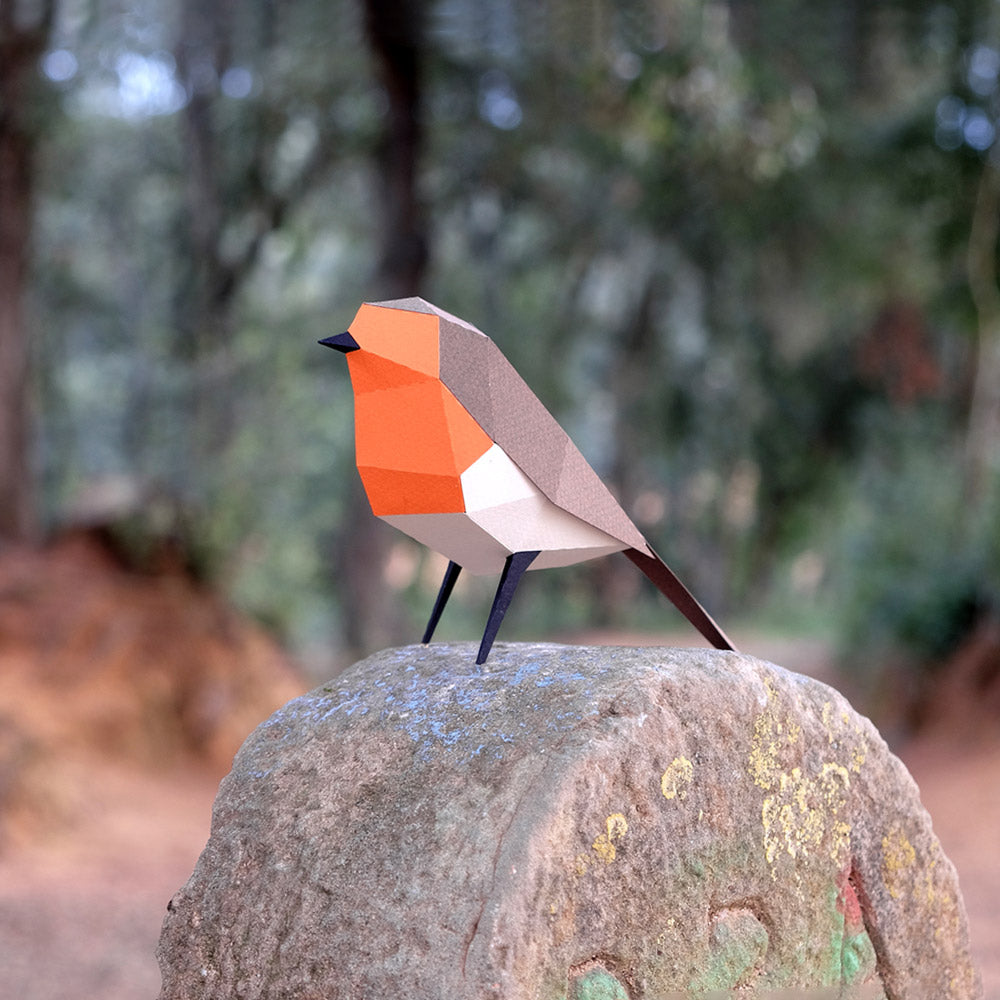 Erithacus Rubecula Paper Figure Kit