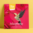 Selasphorus Paper Figure Kit