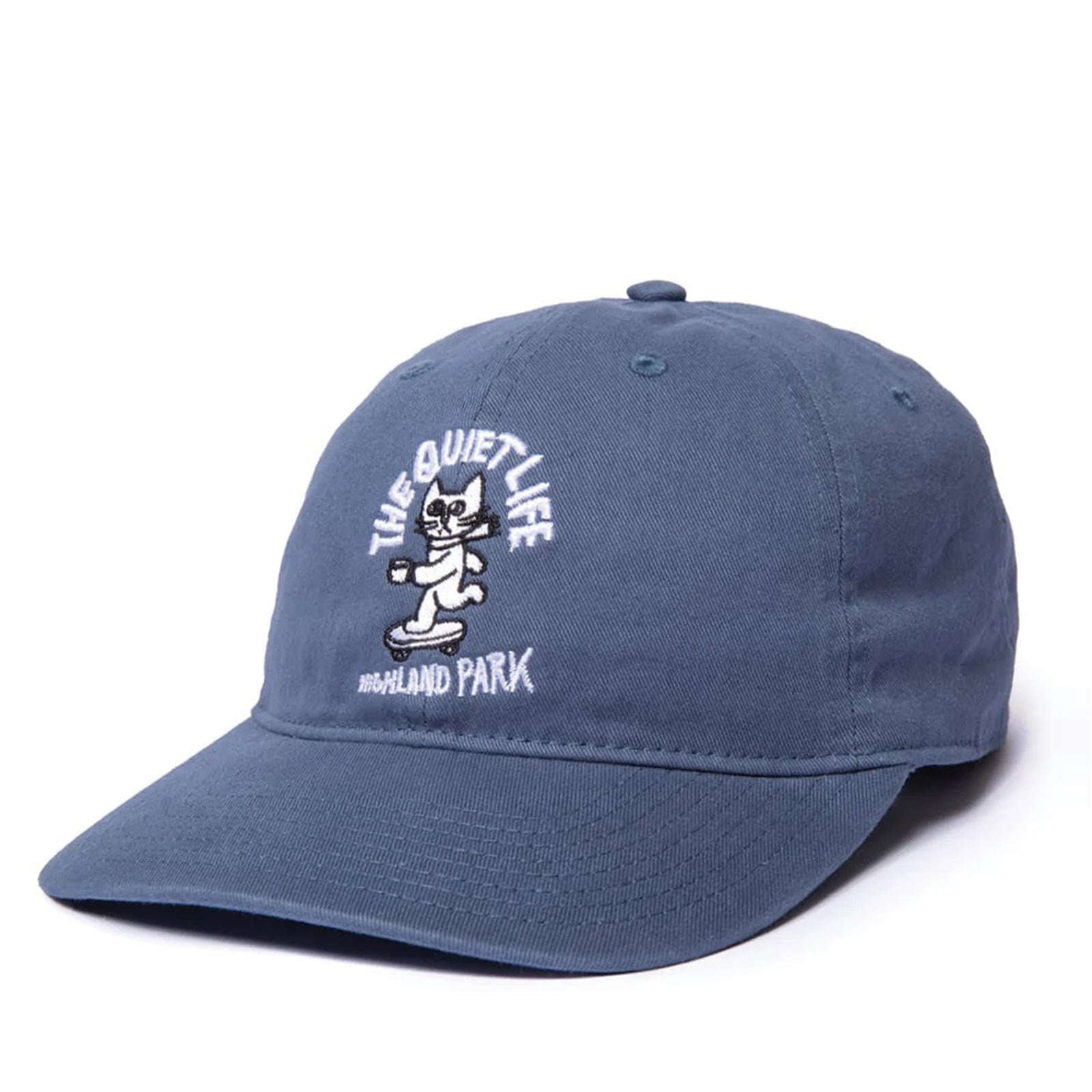 Skating Cat Dad Cap slate