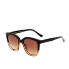 Billy Sunglasses black/brown transparent