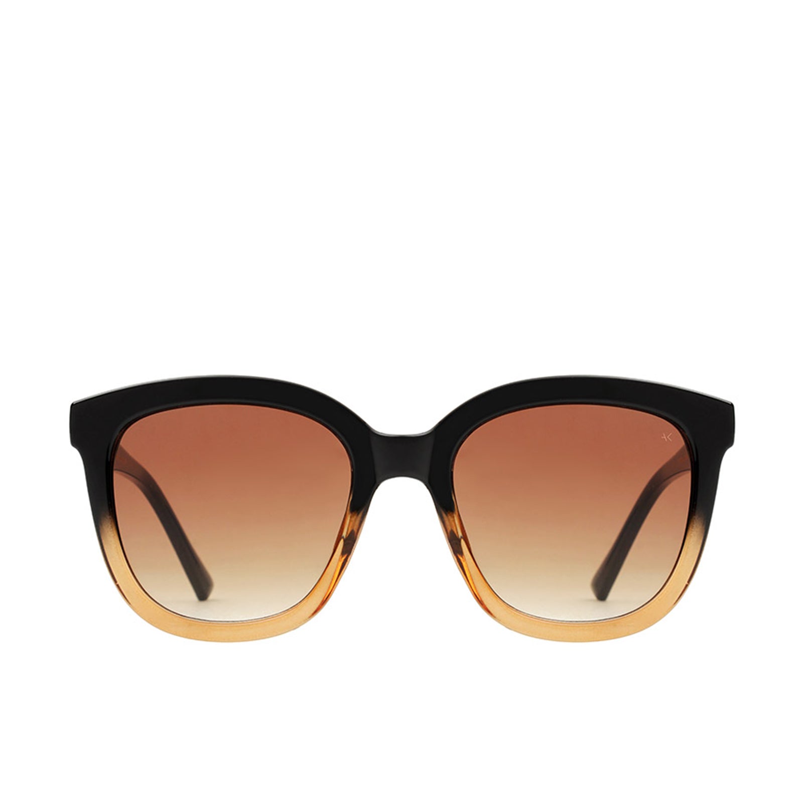 Billy Sunglasses black/brown transparent