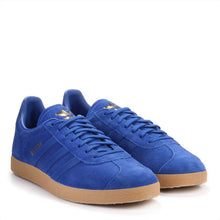 Gazelle pool blue/gold/gum