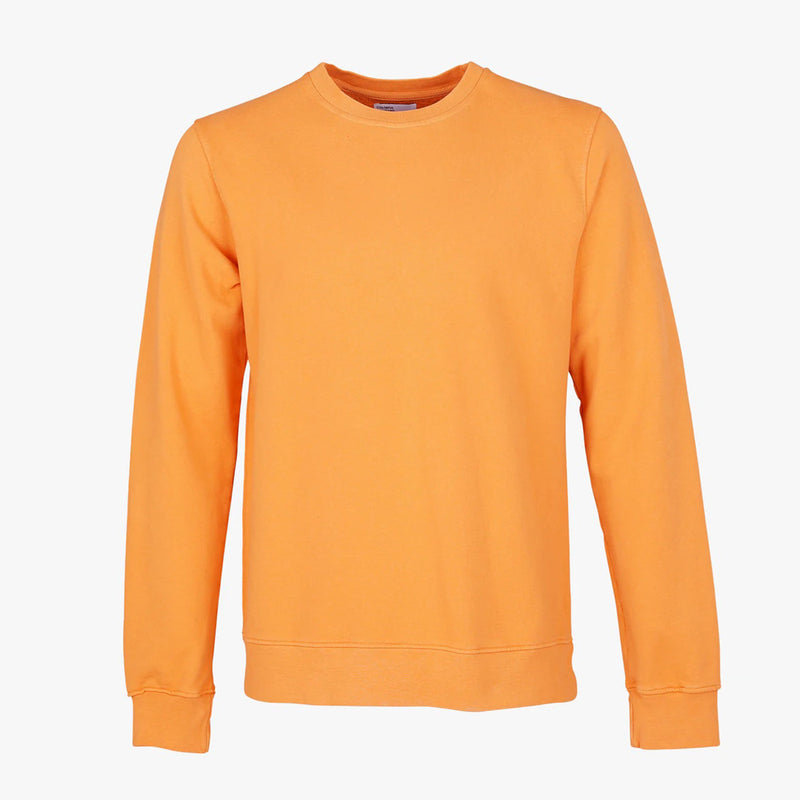 Classic Organic Crew sandstone orange
