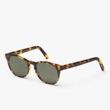 Sunglasses Style 15 classic havana/green