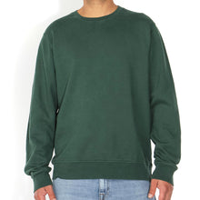 Classic Organic Crew emerald green Colorful Standard