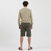 Belto Shorts beetle