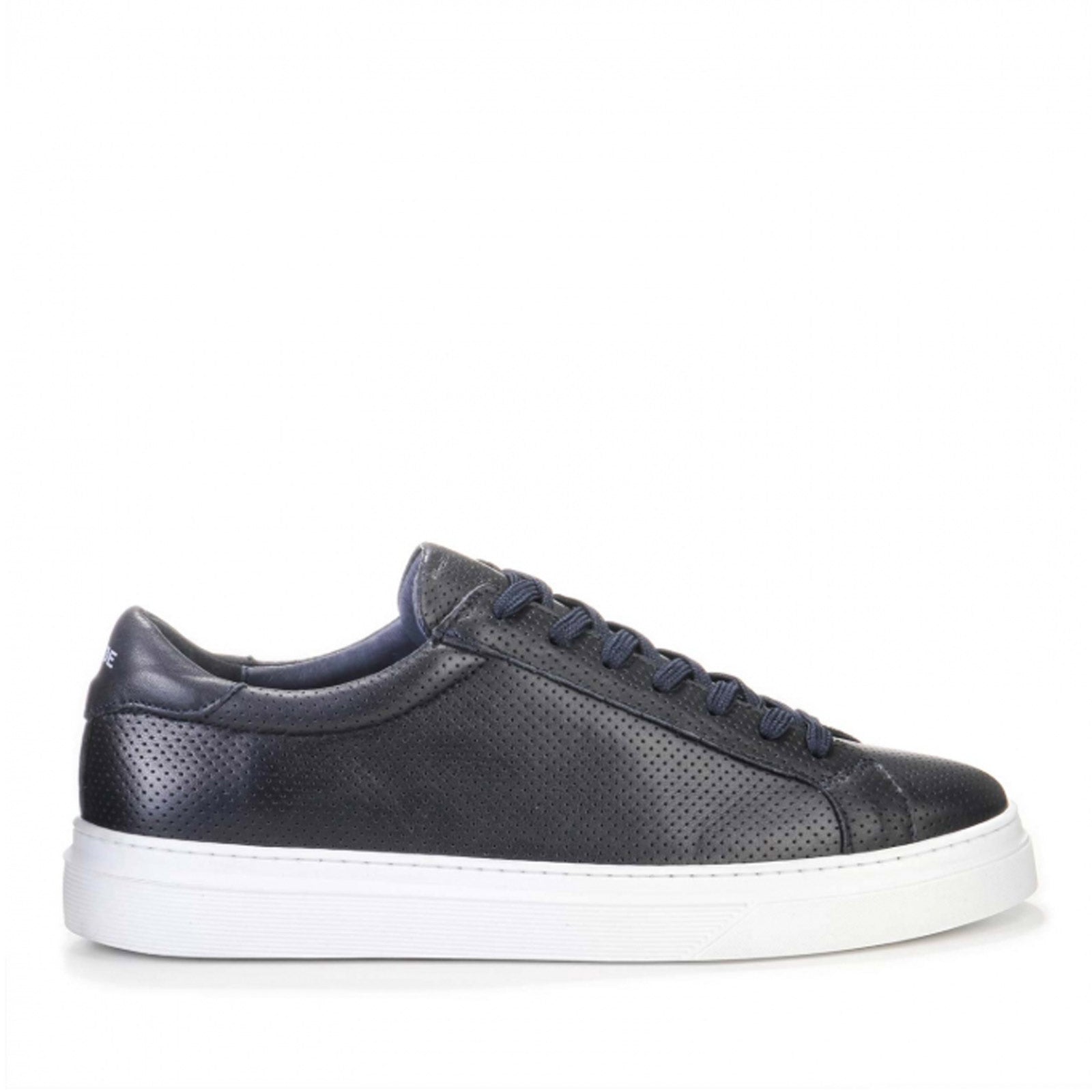 Papil Sneakers night sky/white